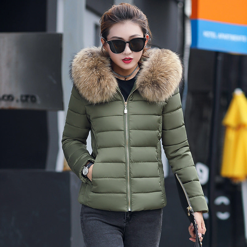 Slim cotton padded jacket