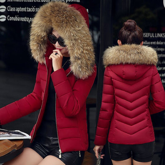 Slim cotton padded jacket